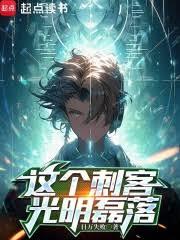 這個刺客光明磊落 這個刺客光明磊落