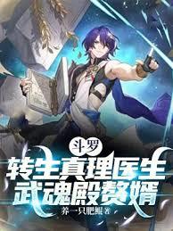 斗羅:轉生真理醫生,武魂殿贅婿 斗羅:轉生真理醫生,武魂殿贅婿