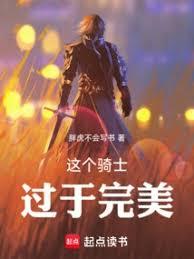 這個騎士過於完美 這個騎士過於完美