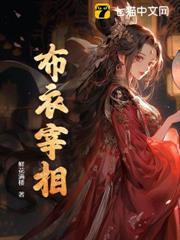 布衣宰相 布衣宰相