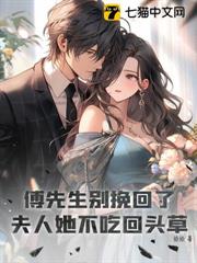 傅先生別挽回了，夫人她不吃回頭草