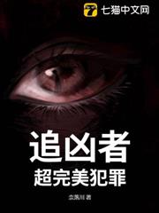 追兇者:超完美犯罪 追兇者:超完美犯罪