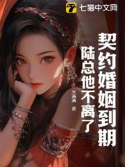 契約婚姻到期,陸總他不離了 契約婚姻到期,陸總他不離了