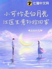 月光墜我懷 月光墜我懷