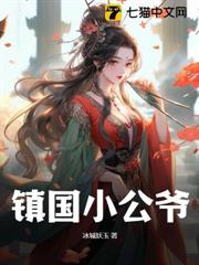 鎮國小公爺 鎮國小公爺