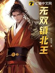 無雙鎮北王 無雙鎮北王