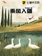 乘風入疆 乘風入疆