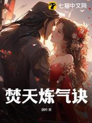 焚天鍊氣訣 焚天鍊氣訣