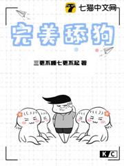 完美舔狗 完美舔狗