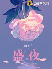 盛夜 盛夜