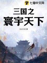 三國之寰宇天下 三國之寰宇天下