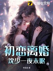 初戀離婚,沈少一夜未眠 初戀離婚,沈少一夜未眠