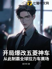 開局爆改五菱神車,從此制霸全球拉力車賽場 開局爆改五菱神車,從此制霸全球拉力車賽場