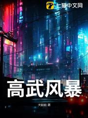 高武風暴 高武風暴