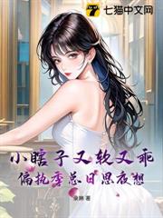 小瞎子又軟又乖，偏執季總日思夜想
