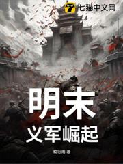 明末:義軍崛起 明末:義軍崛起
