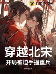 穿越北宋,開局被迫手握重兵 穿越北宋,開局被迫手握重兵