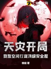天災開局:我靠空間打造頂級安全屋 天災開局:我靠空間打造頂級安全屋
