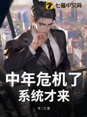 中年危機了,系統才來? 中年危機了,系統才來?