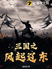 三國之風起遼東 三國之風起遼東