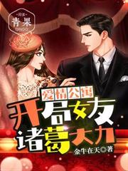 愛情公寓:開局女友諸葛大力 愛情公寓:開局女友諸葛大力