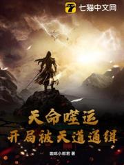 天命噬運:開局被天道通緝 天命噬運:開局被天道通緝