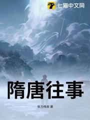 隋唐往事