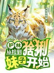 護林從撿到猞猁妹子開始 護林從撿到猞猁妹子開始