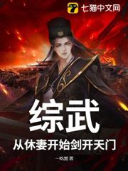 綜武：從休妻開始劍開天門