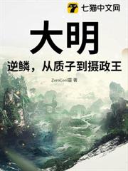 大明:逆鱗,從質子到攝政王 大明:逆鱗,從質子到攝政王