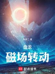盤龍,磁場轉動 盤龍,磁場轉動