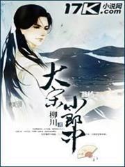 大宋小郎中 大宋小郎中
