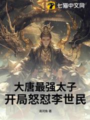大唐最強太子:開局怒懟李世民 大唐最強太子:開局怒懟李世民