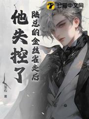 陸總的金絲雀走後,他失控了 陸總的金絲雀走後,他失控了