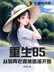 重生85，從知青老婆被造謠開始