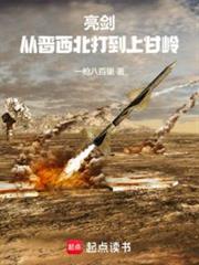 亮劍:從晉西北打到上甘嶺 亮劍:從晉西北打到上甘嶺