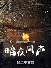 暗夜風聲 暗夜風聲