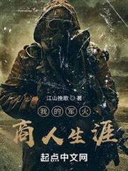 我的軍火商人生涯 我的軍火商人生涯