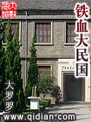 鐵血大民國 鐵血大民國