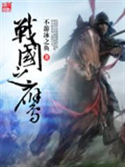 戰國之鷹 戰國之鷹