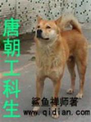 唐朝工科生 唐朝工科生