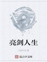 亮劍人生 亮劍人生