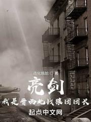亮劍!我是晉西北戰狼團團長 亮劍!我是晉西北戰狼團團長