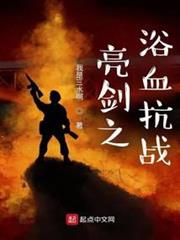 亮劍之浴血抗戰 亮劍之浴血抗戰
