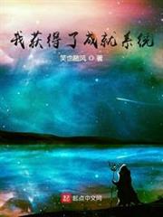 我獲得了成就系統 我獲得了成就系統