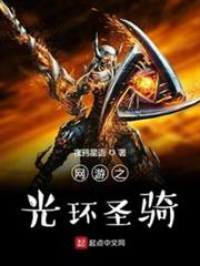 網遊之光環聖騎 網遊之光環聖騎