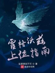 霍格沃茲上位指南 霍格沃茲上位指南