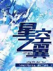 星空之翼 星空之翼