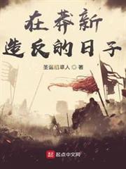 在莽新造反的日子 在莽新造反的日子