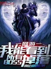 我能看到所有BOSS掉落 我能看到所有BOSS掉落